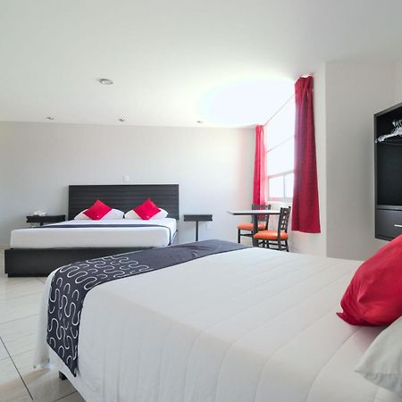 Hotel Euro Confort,Pachuca Buitenkant foto