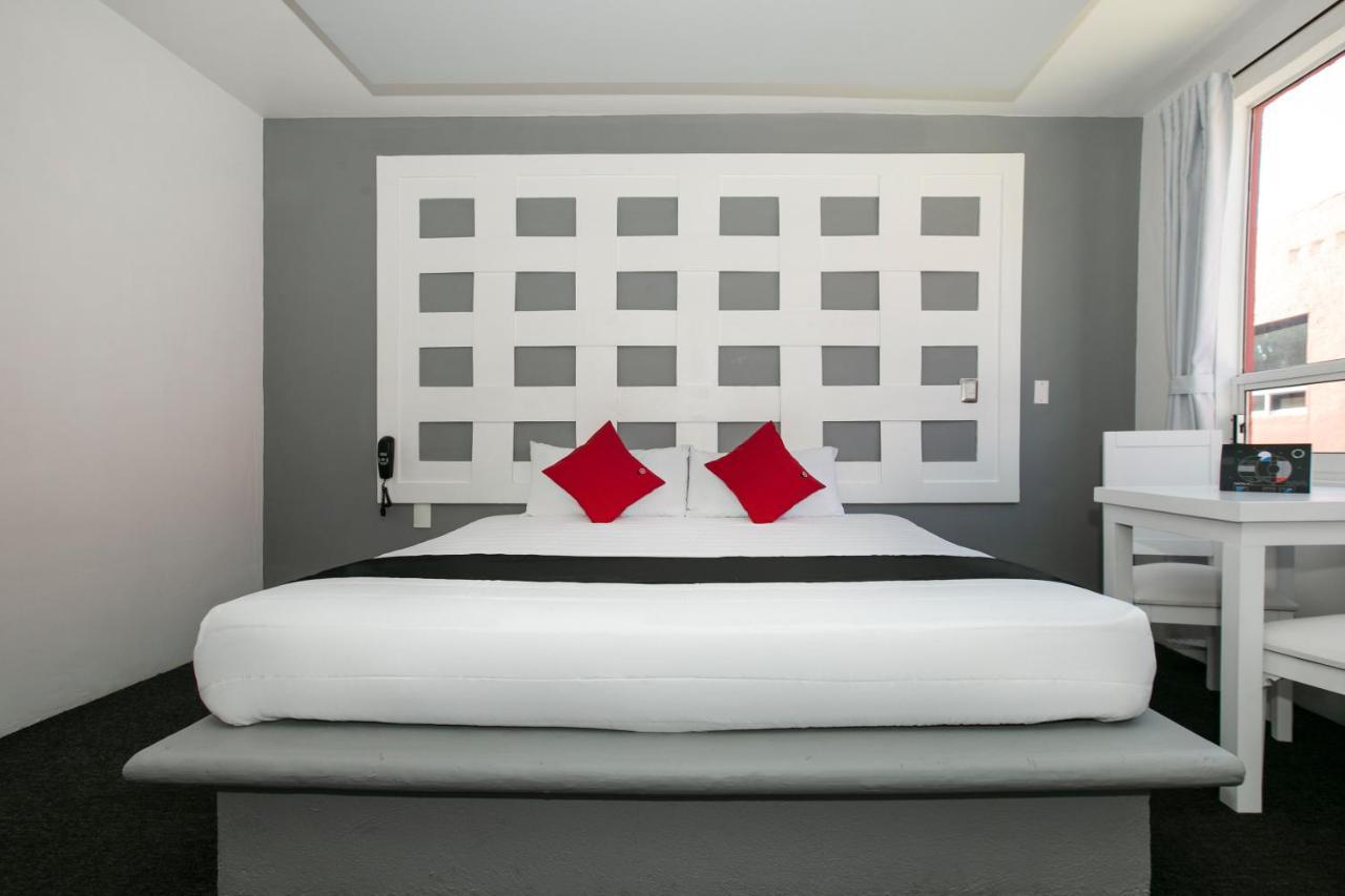 Hotel Euro Confort,Pachuca Buitenkant foto