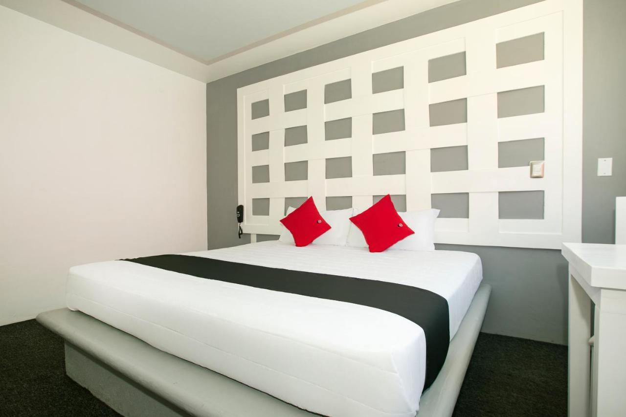 Hotel Euro Confort,Pachuca Buitenkant foto
